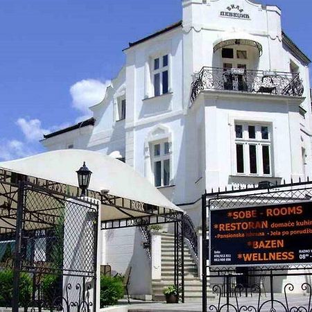 Villa Devedzic Vrnjacka Banja Luaran gambar
